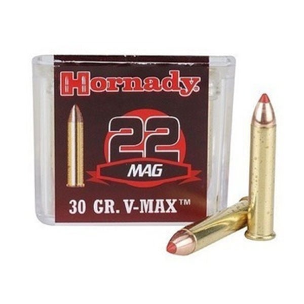 Rimfire Ammo