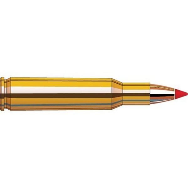 Superformance Varmint  243 Win 58gr V-MAX Polymer Tip 20/Box